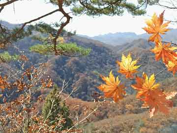 花残 第11页