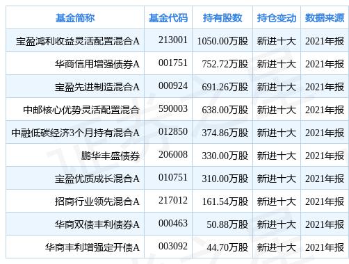 吉电股份利好消息开启行业新篇章