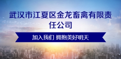 武汉普工招聘最新信息全面解析