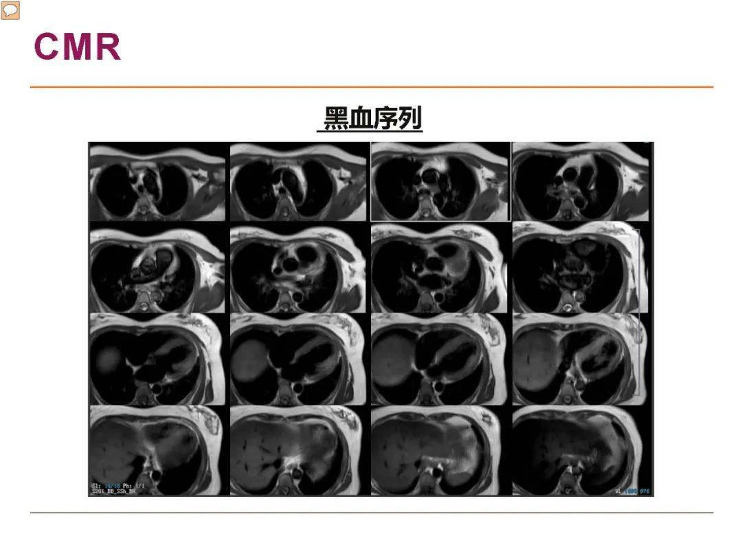 新澳门中特网中特马,科学评估解析_挑战版94.503