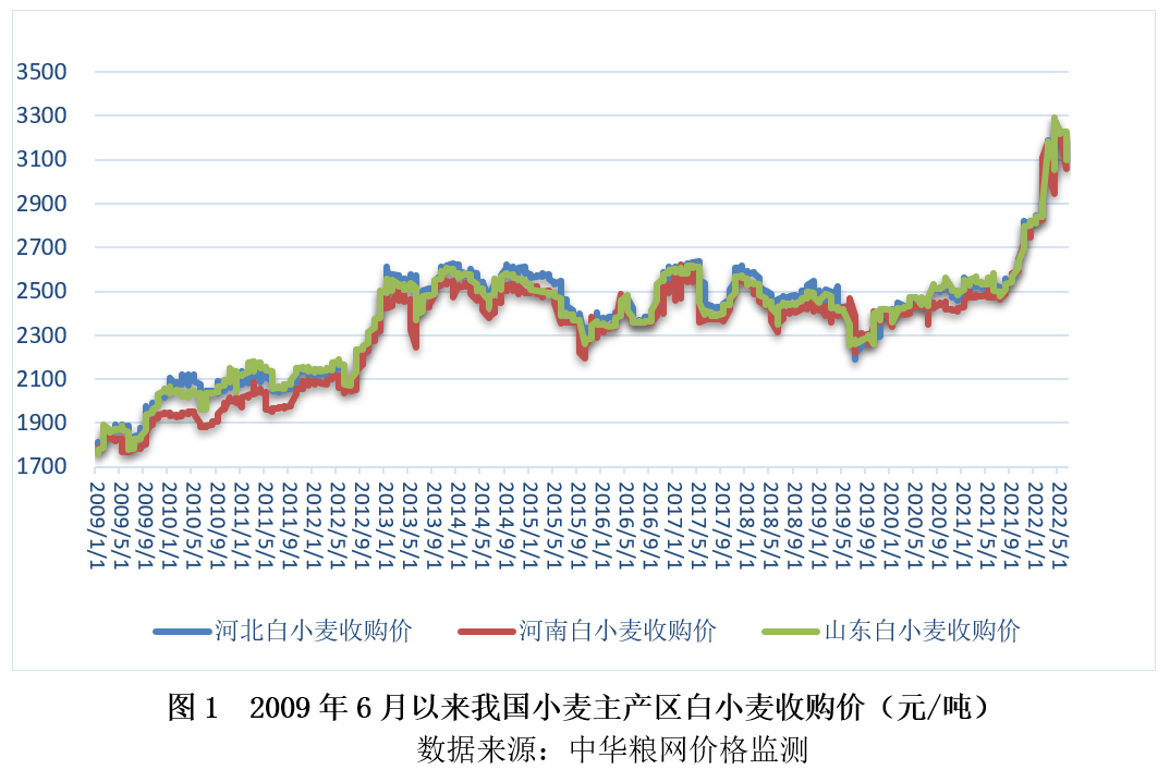 小麦最新价格动态解析报告