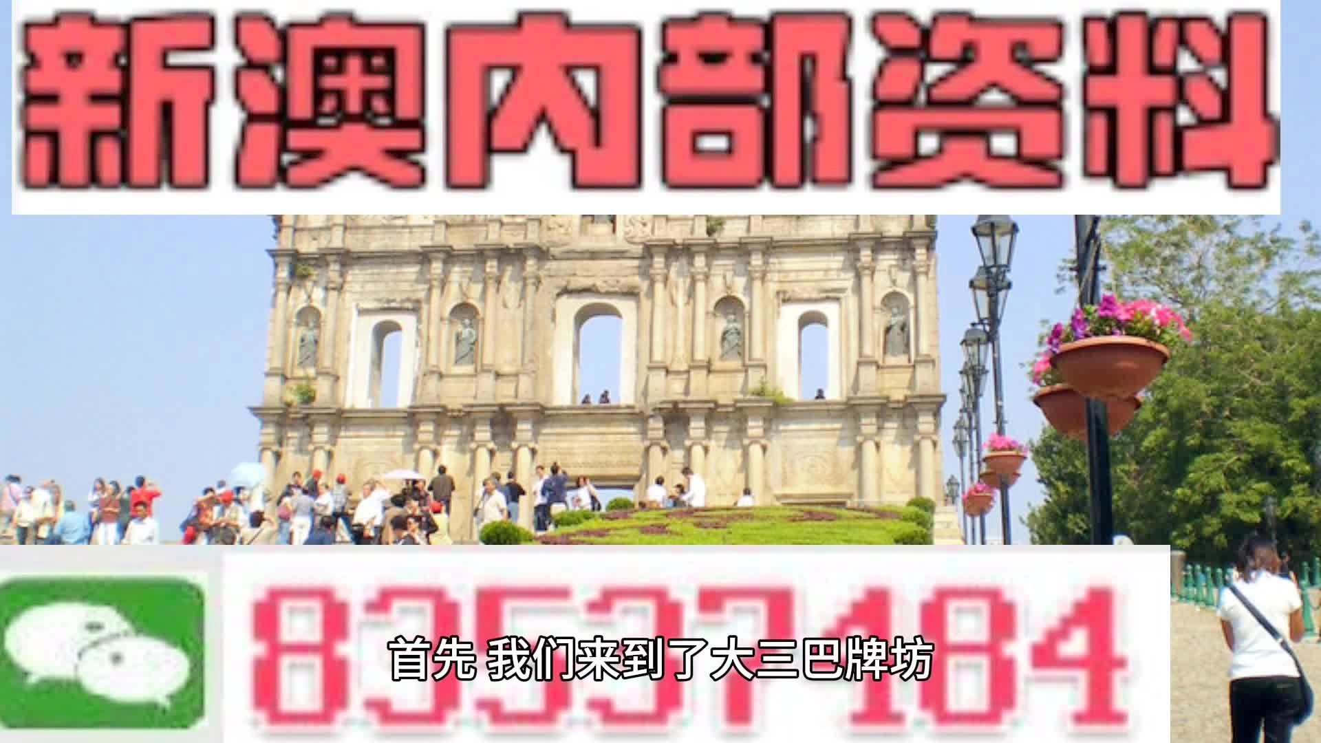 2024年新澳门全年资料,现状分析解释定义_N版77.741