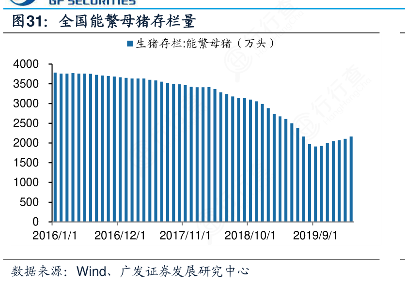 母猪存栏最新数据分析报告发布，揭示最新趋势与洞察