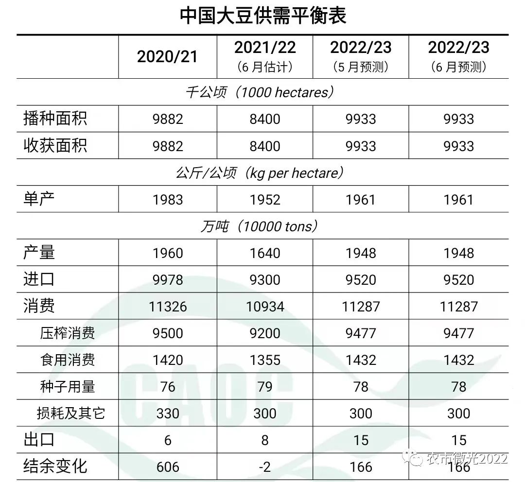 进口大豆价格最新行情深度解析