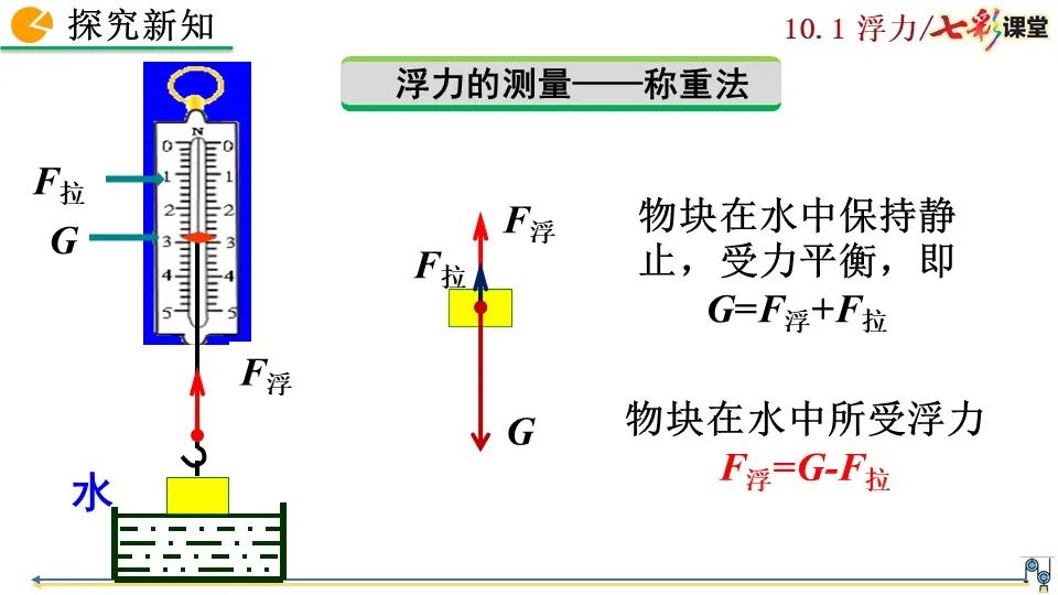 最新浮力视频，揭示浮力奥秘，领略其独特魅力