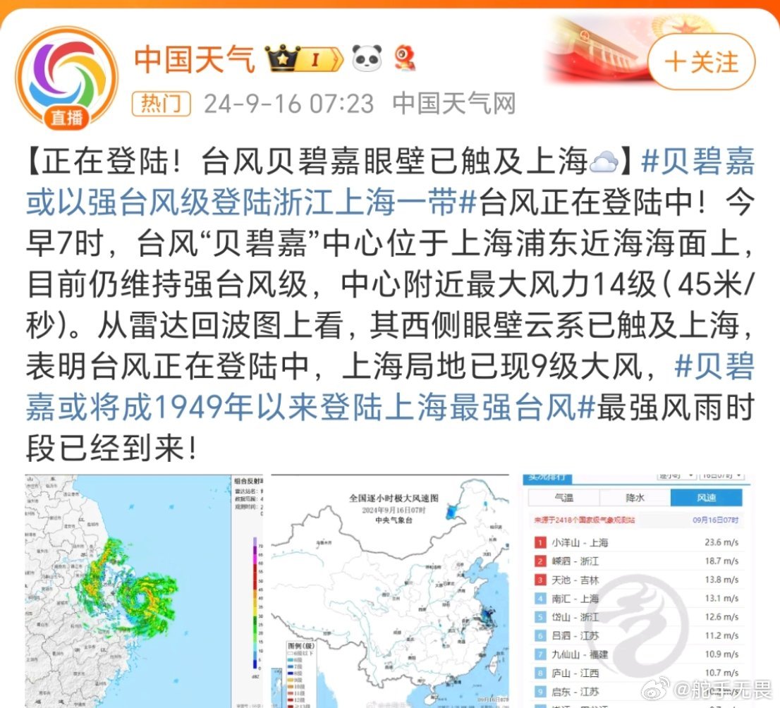 上海台风最新动态解析及应对措施​​