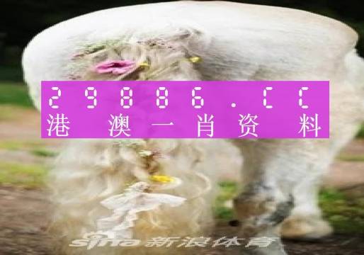 2024澳门第08期一肖一码,精细方案实施_SE版87.922