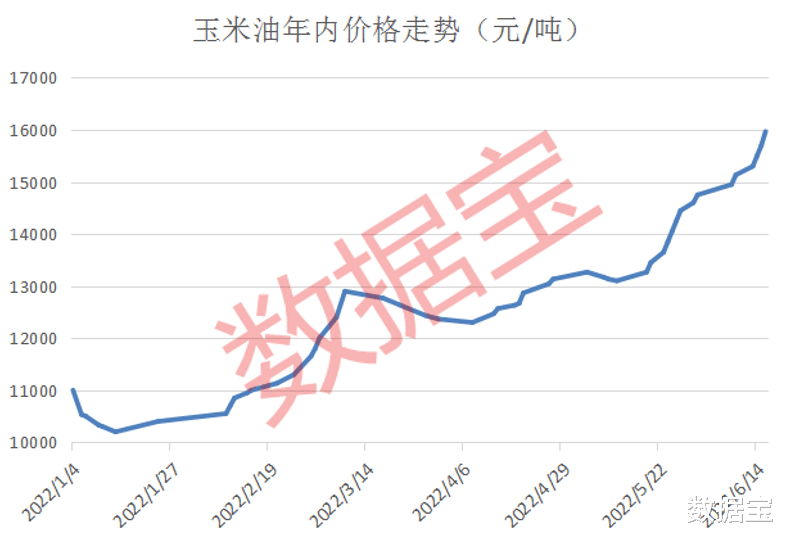 花火绽放 第8页