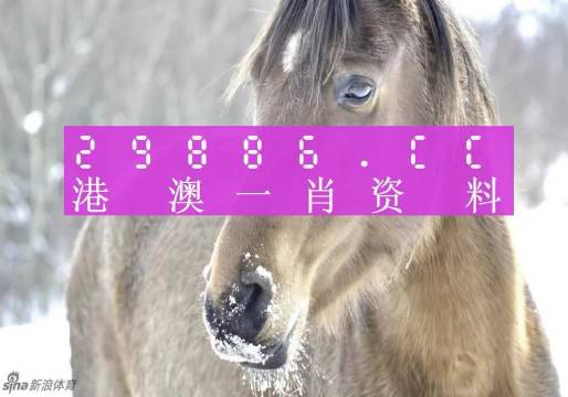 最准一肖一码100%香港78期,专业数据解释定义_精英版21.24