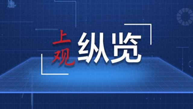 新澳精准资料免费提供208期,实地执行考察设计_tShop71.178