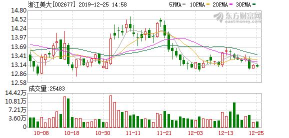浙江美大股票最新消息深度解读与分析