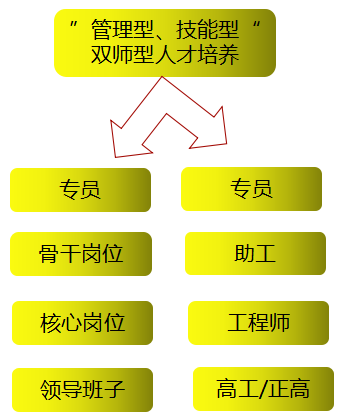 河南五建最新招聘信息全面解析