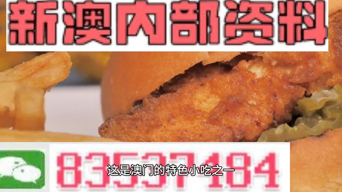 新澳2024年精准正版资料,动态调整策略执行_标配版42.989