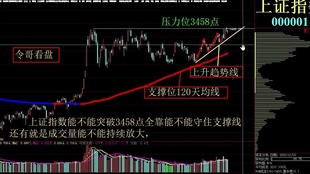 2024澳门王中王100%期期中,科技成语解析说明_W21.906