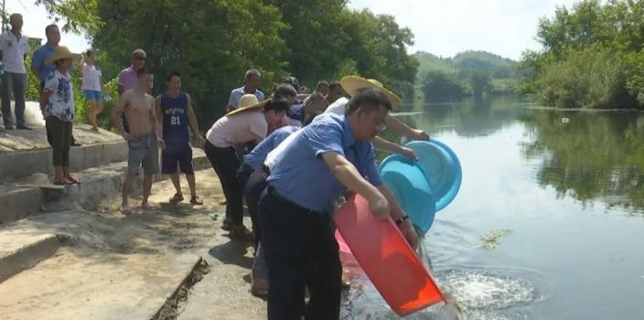 连州市文化广电体育和旅游局领导团队概览