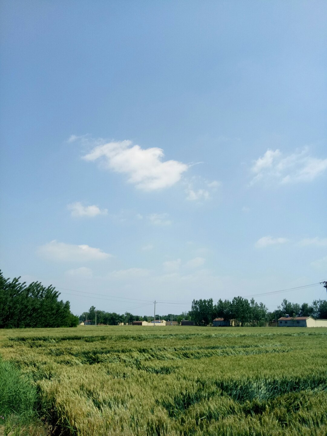 秋麦村天气预报更新通知