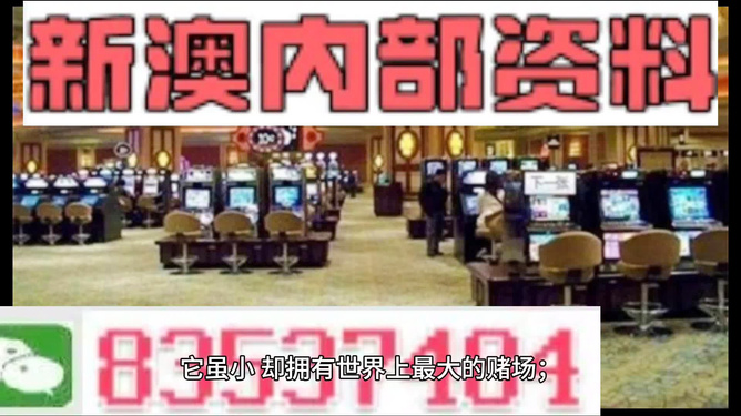 2024新澳精准资料免费提供,澳门内部,实地研究数据应用_RX版94.869