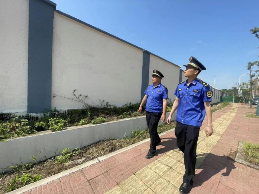 雨花街道交通优化进展显著，新动态与改善成果报道