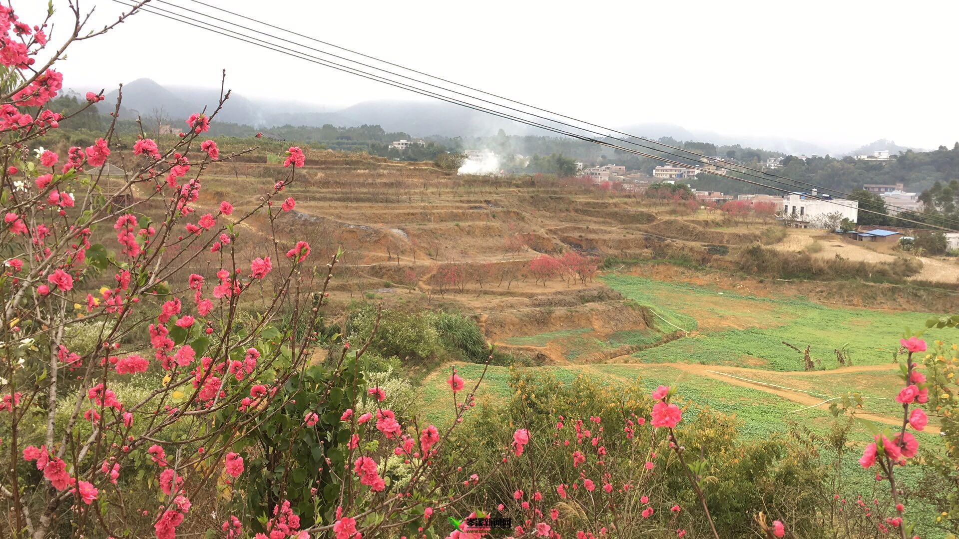 谢果村今日天气预报