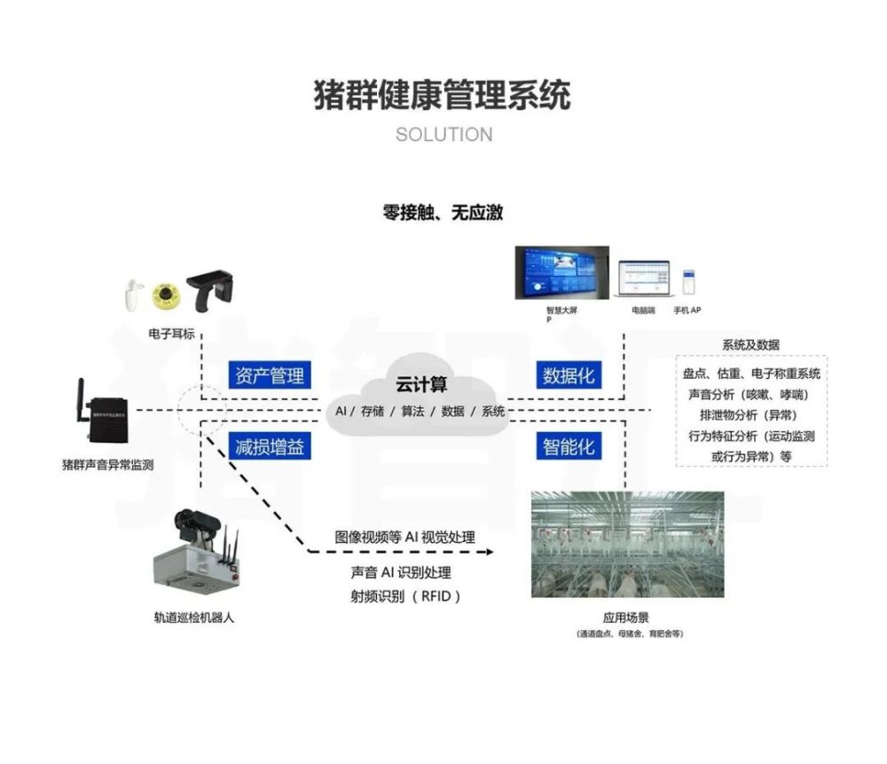 一码一肖100%精准,高效解析说明_C版90.302