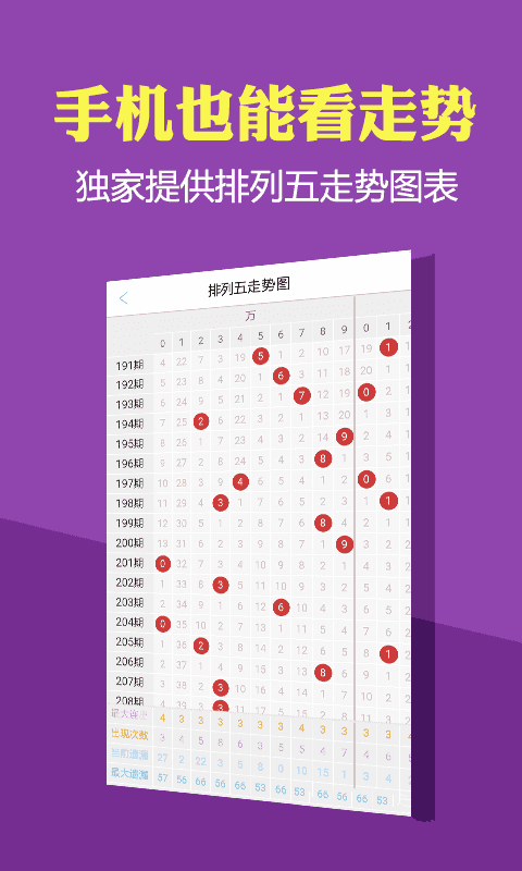 管家婆一票一码100正确,仿真方案实现_8DM82.287