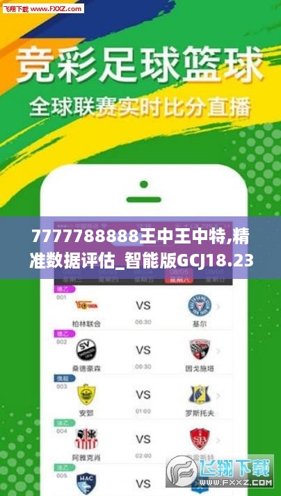 77777788888王中王中特亮点,定性解析说明_nShop11.969