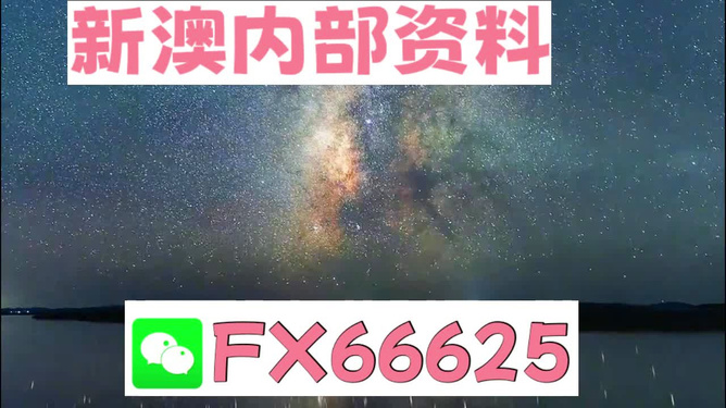 新澳天天彩免费资料49,稳定策略分析_限量版4.867