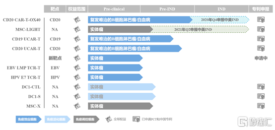 香港精准最准资料免费,科学依据解析说明_增强版31.165