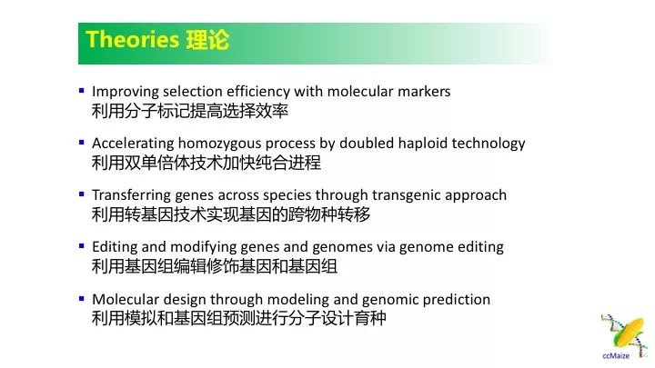 澳门最准的资料免费公开,广泛方法评估说明_挑战款90.588