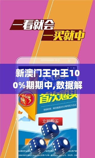 澳门王中王100%期期中,实践解析说明_游戏版67.349