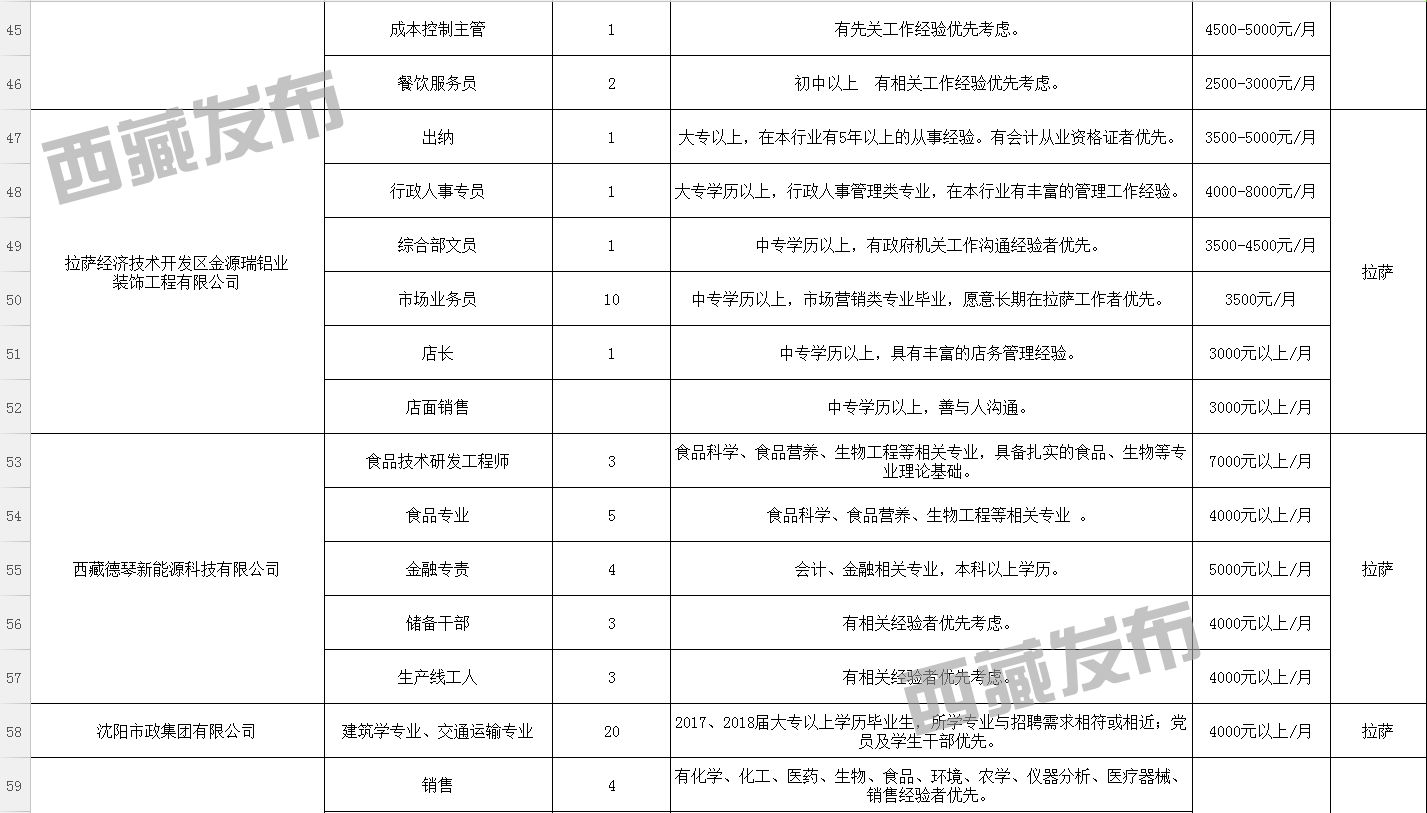 青铜峡市数据和政务服务局招聘启事概览