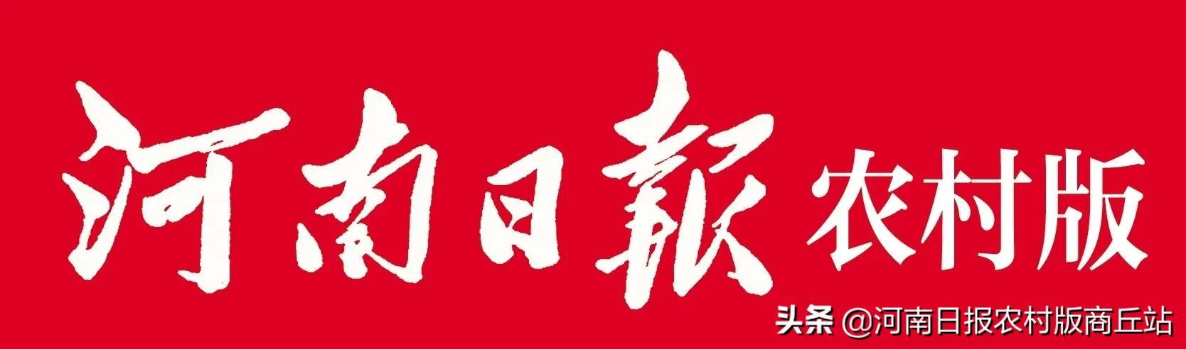 商丘市经济委员会最新新闻动态解析