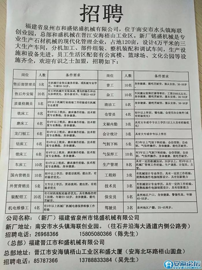 马站镇最新招聘信息详解及深度解读