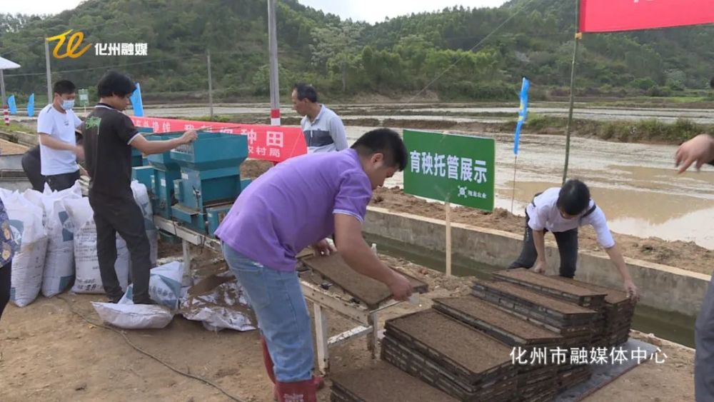 那务镇最新项目，地区发展的强大引擎领航者