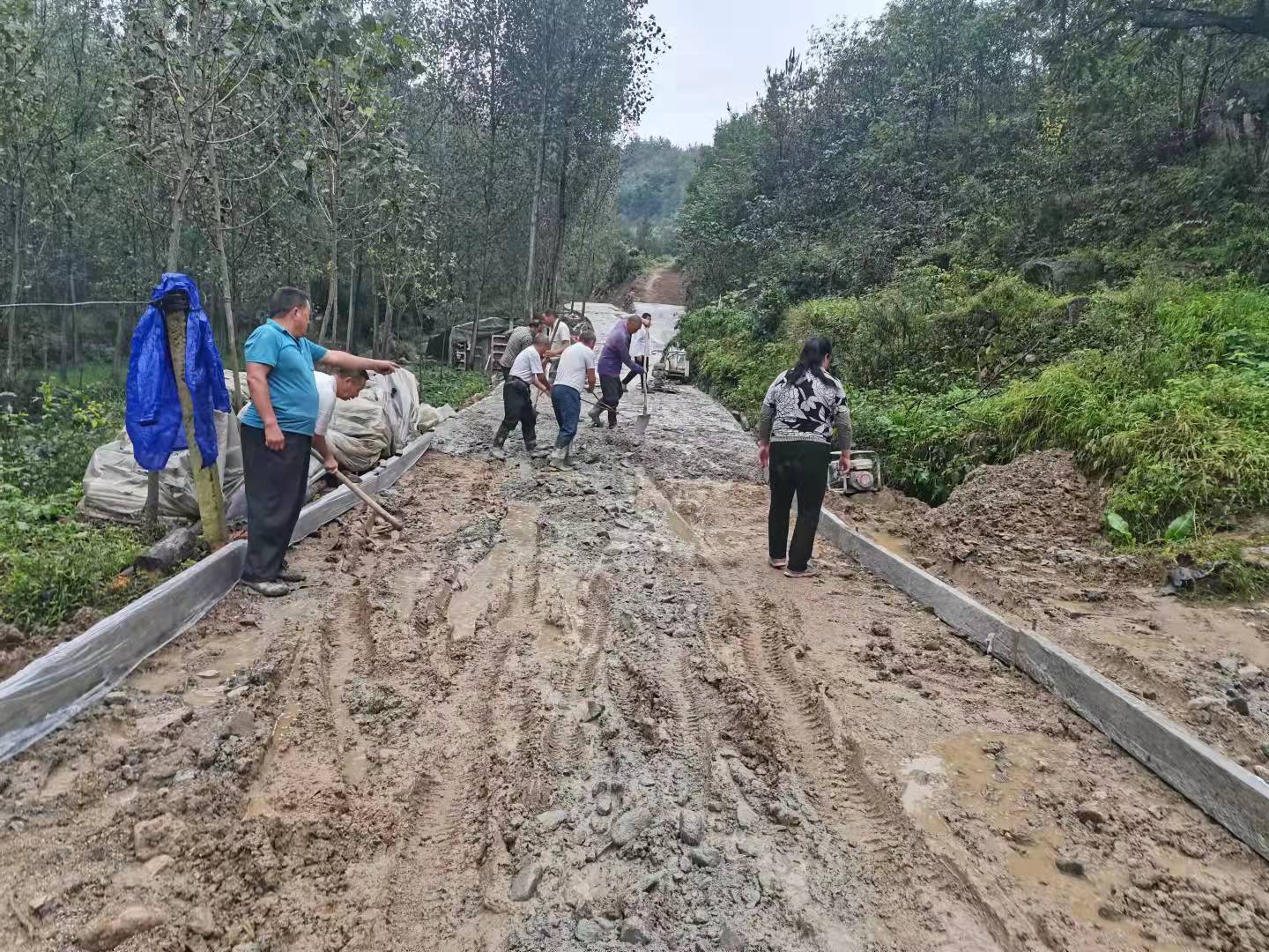 五里明镇交通升级助力地方发展最新报道