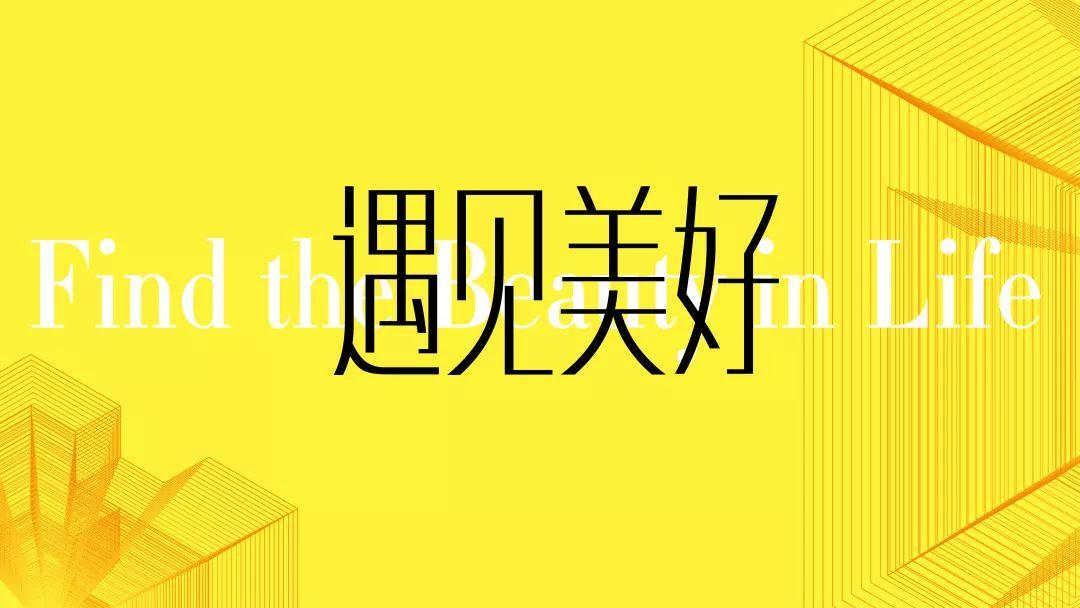 泰山区数据和政务服务局数字化升级项目，政务服务创新引领未来