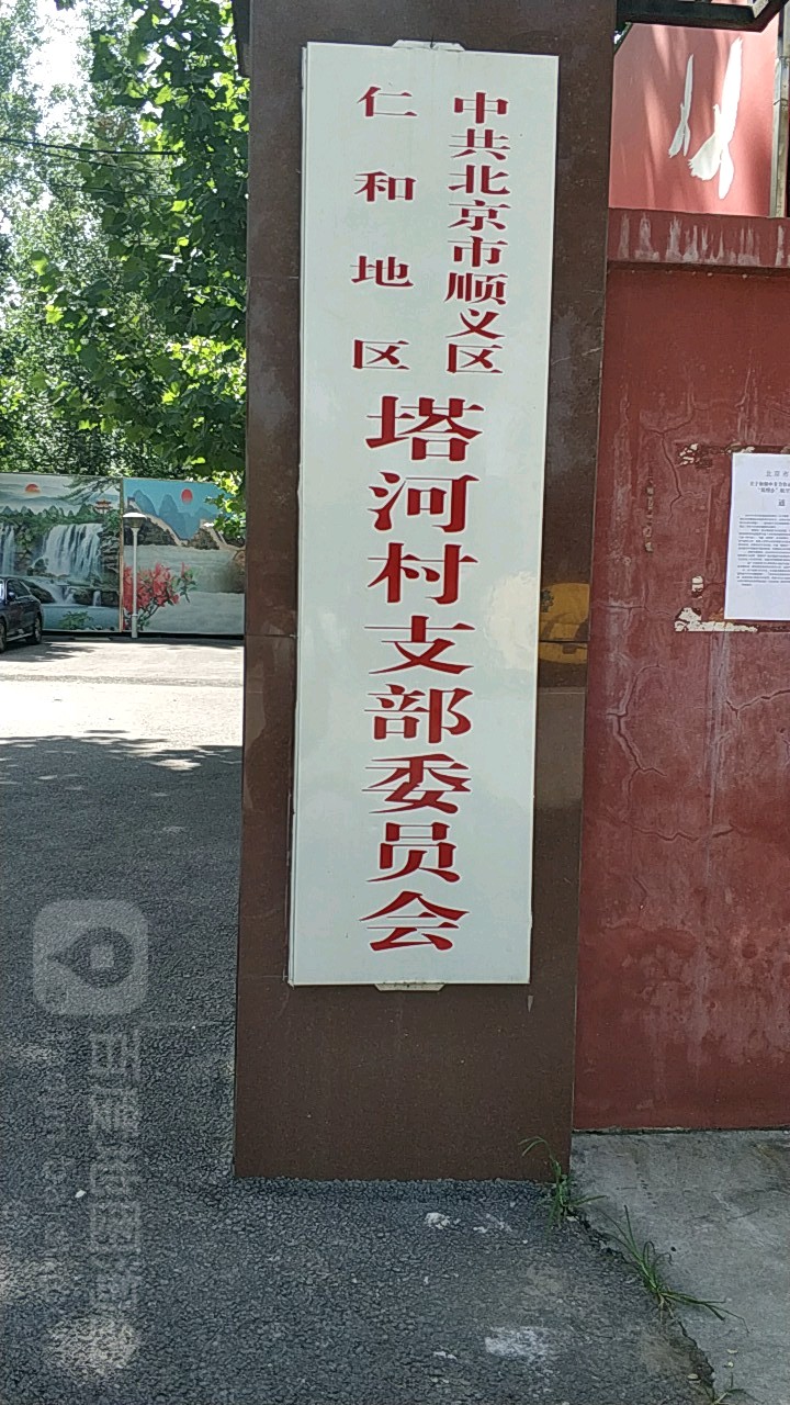 滩店村委会最新发展规划概览