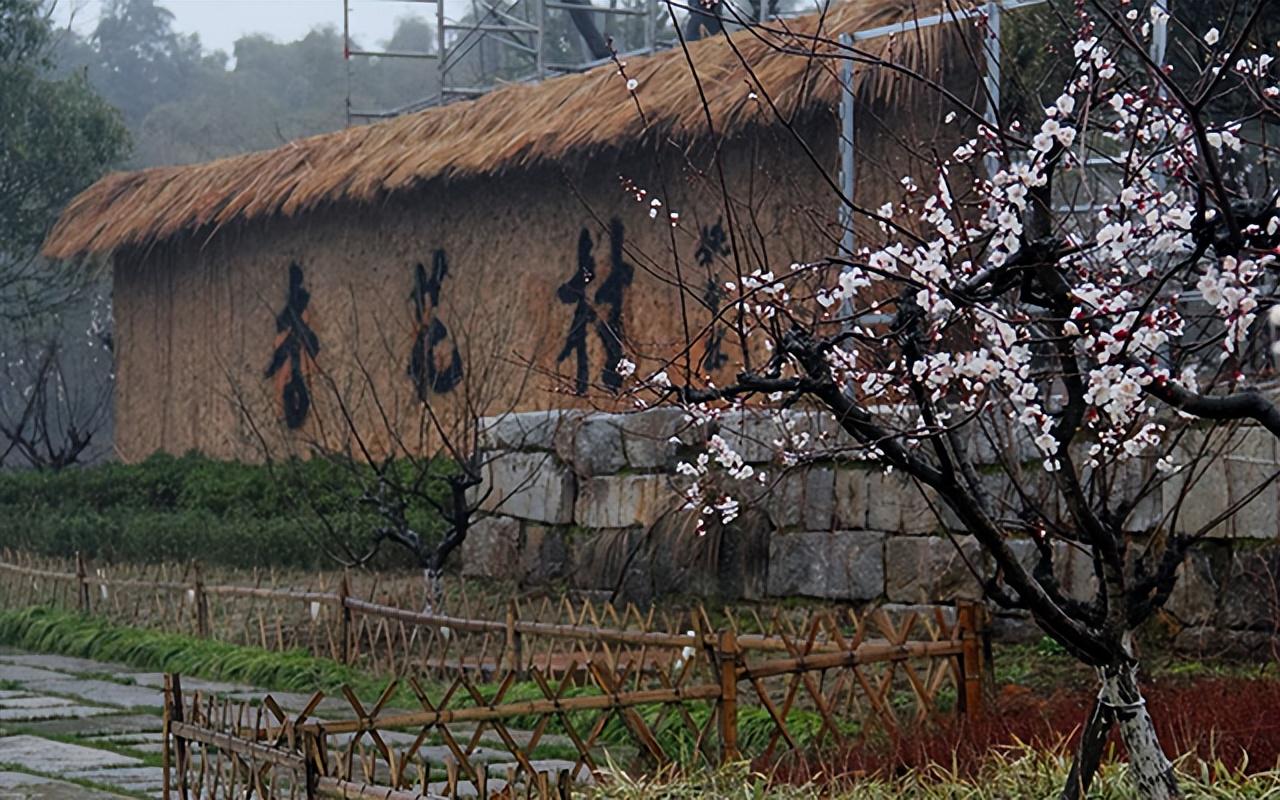 杏花村重塑乡村魅力，最新项目引领地区发展