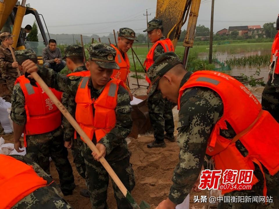 水堤村乡村振兴与社区发展新篇章，最新新闻报道