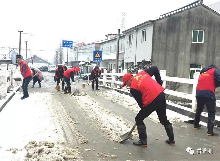 秀洲区农业农村局新项目推动农业现代化，乡村振兴再添助力