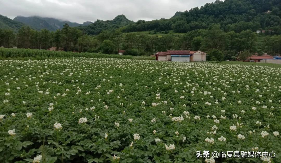 临夏县应急管理局最新动态报道