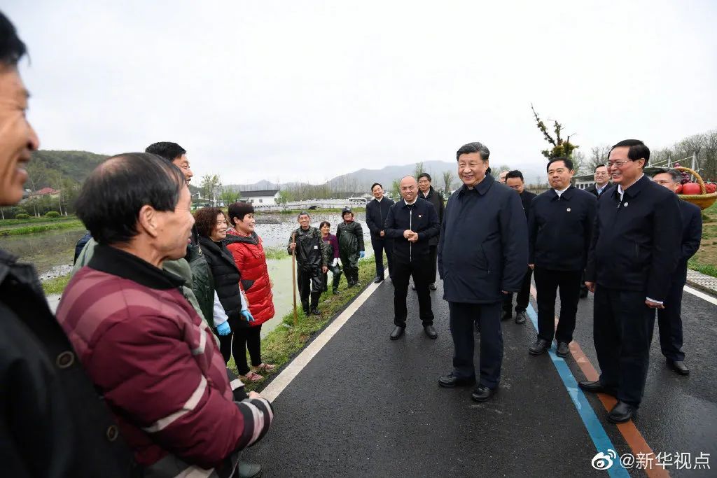 苍沟村委会最新动态报道