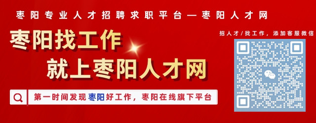 枣阳市统计局最新招聘启事概览