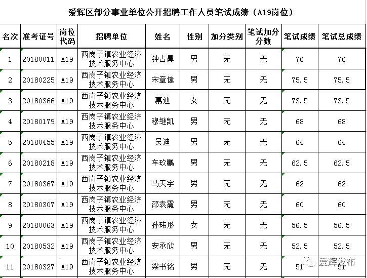 爱辉区人民政府办公室最新招聘公告解析