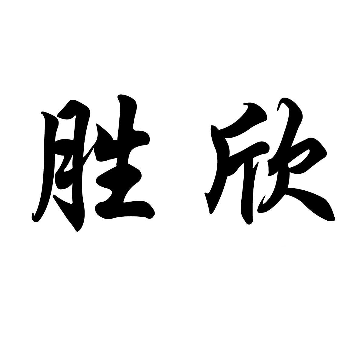 什字街镇最新招聘信息全面解析